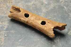 0_Divje-Babe-flute_Slovenia_43000_yrs_old.jpg